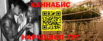 стаф Донецк