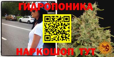 круглые Аргун