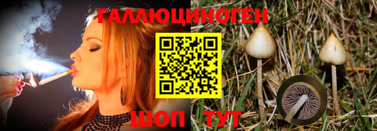 Галлюциногенные грибы ЛСД  Вход с VPN  Владикавказ 